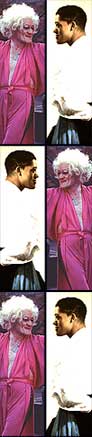 The two faces of Lee